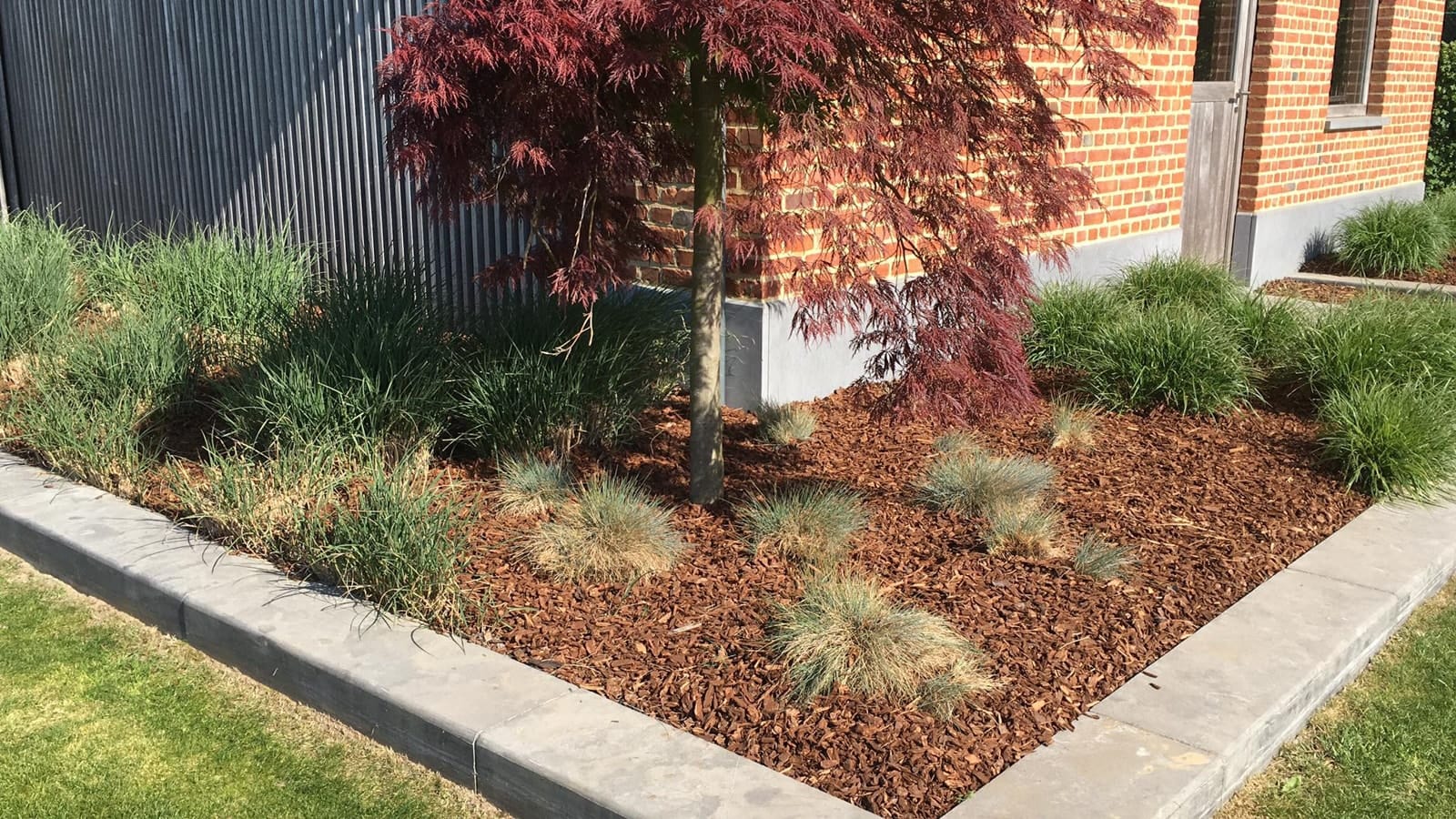 Tuinrealisatie met Douglas boomschors als bodembedekker naast een rode esdoorn en siergrassen