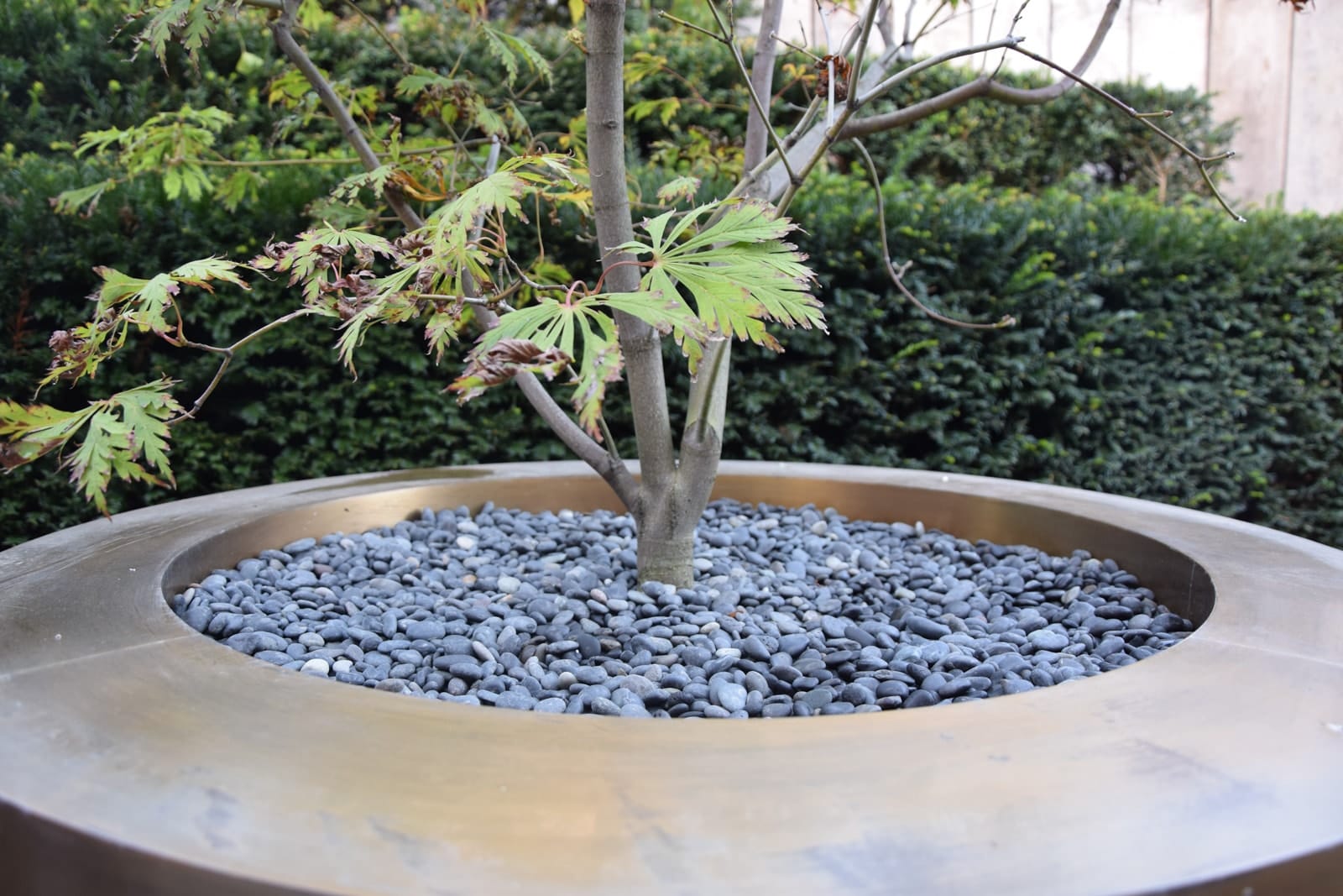 Siergrind en Grind - extra beeld 2